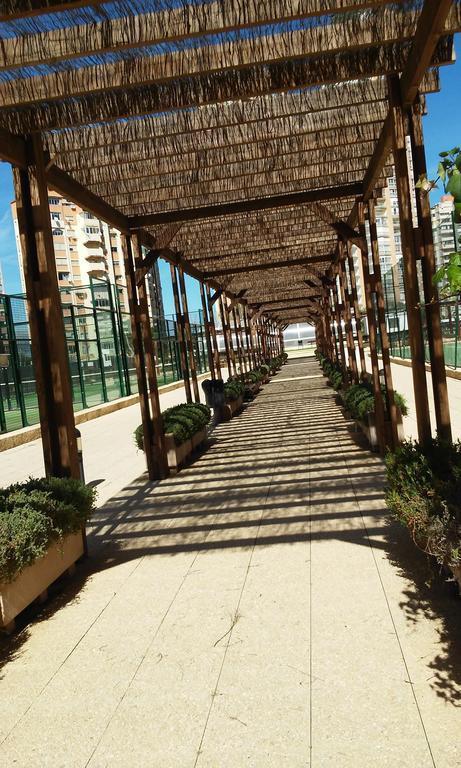 Apartment Carmentxu Gemelos 26 Benidorm Rum bild
