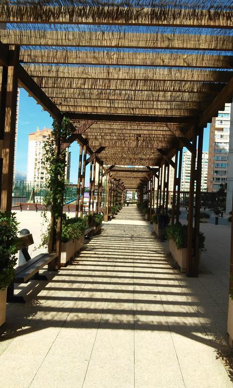 Apartment Carmentxu Gemelos 26 Benidorm Rum bild